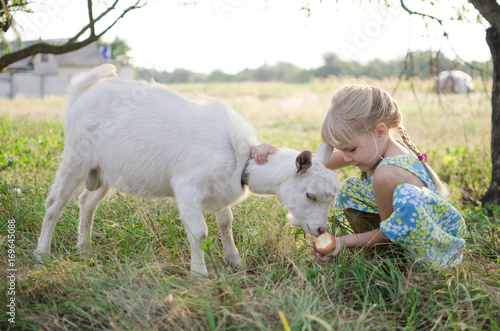 Little blond girl with goat on the pasture. Four year old lady with domestic animal on the fa