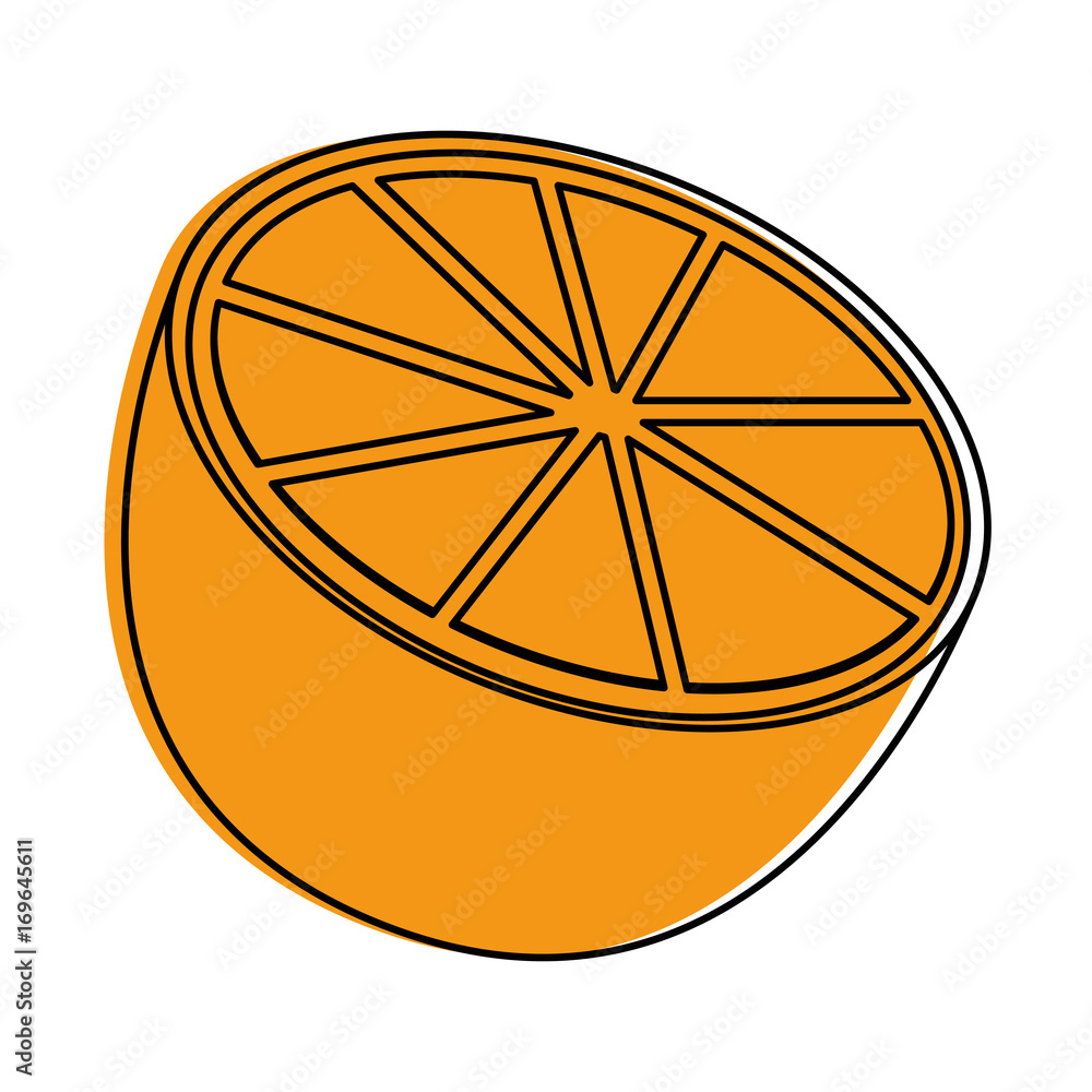 orange fruit icon over white background vector illustration orange fruit icon over white background vector illustration