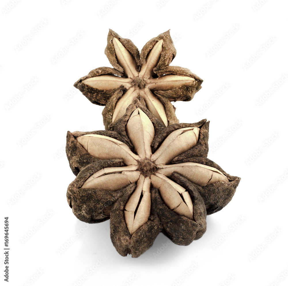 Sacha inchi peanut seed isolate on white background Sacha inchi peanut seed isolate on white background