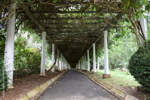 Laubengang im Botanischer Garten in Kandy photo