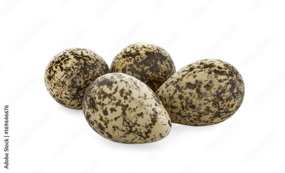 Quail eggs are isolated on a white background Quail eggs are isolated on a white background