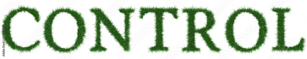 Control - 3D rendering fresh Grass letters isolated on whhite background. Control - 3D rendering fresh Grass letters isolated on whhite background.