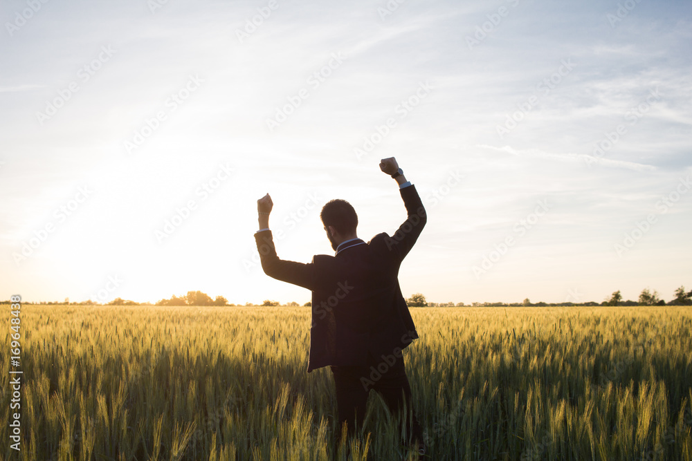 Happy buisinesman having fun in summer fields, man in buisines suit enjoy of freedom, concept of winner manager. Happy buisinesman having fun in summer fields, man in buisines suit enjoy of freedom, concept of winner manager.