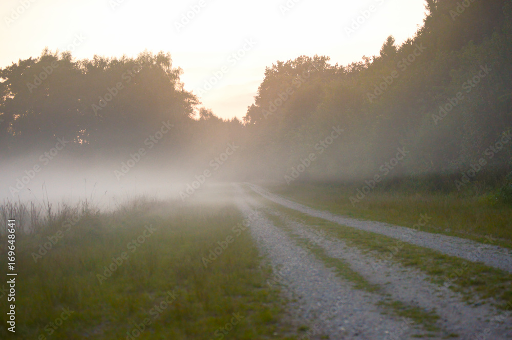 Fototapeta premium Landschaft im Nebel