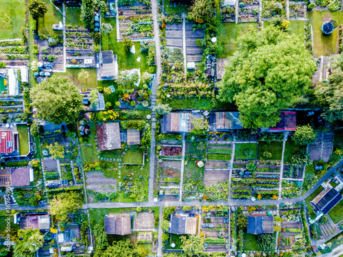 Quadro su tela Aerial view of allotment in Switzerland