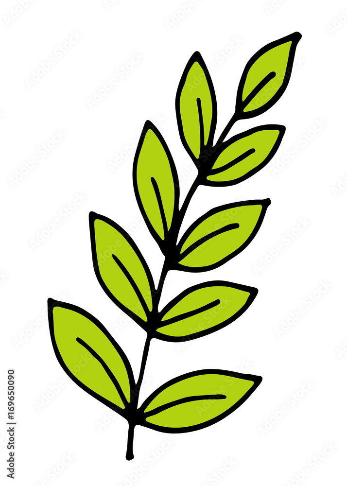 Hand drawn branches and leaves vector illustration Hand drawn branches and leaves vector illustration