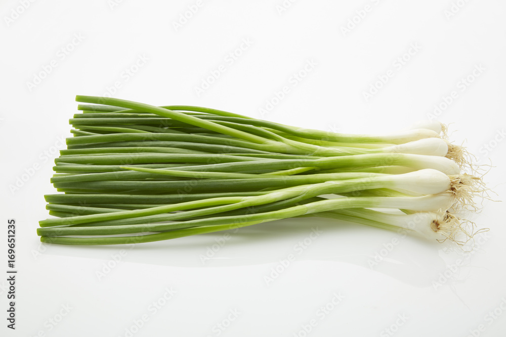 onion leaf onion leaf