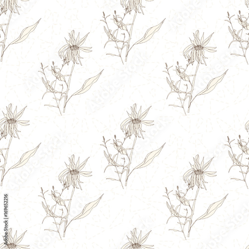 Vector floral seamless pattern with wild meadow herbs . Thin delicate line silhouettes in small bouquets on geometric background.