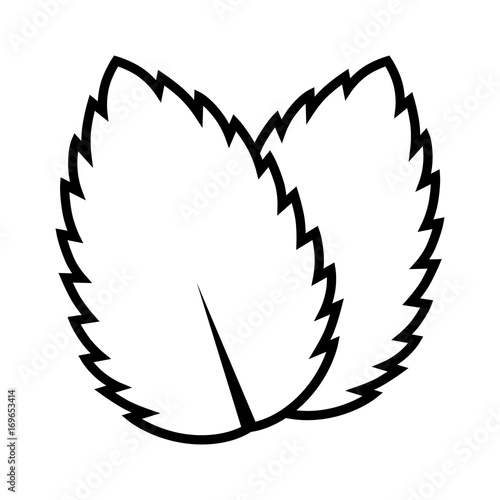 Two peppermint / spearmint mint or mentha leaves line art vector icon for apps and websites