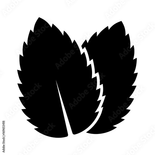 Two peppermint / spearmint mint or mentha leaves flat vector icon for apps and websites 
