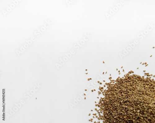 Celery Seeds