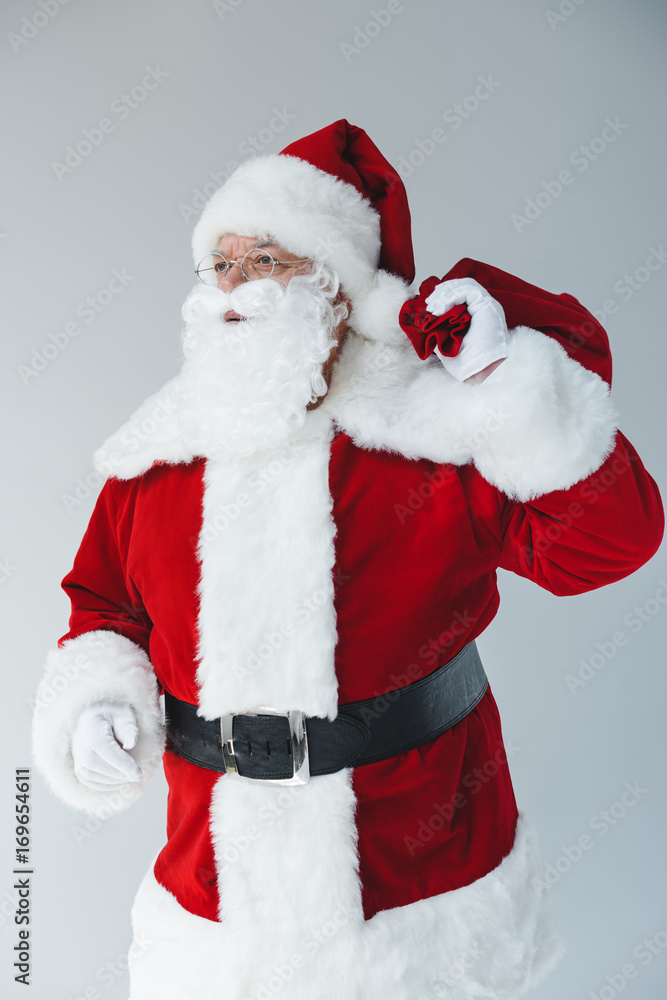 santa claus with bag santa claus with bag