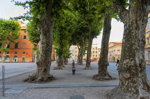 Piazza Napoleone (Napoleone square) in Lucca, Tuscany, Italy