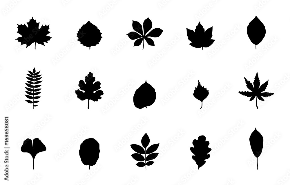 Blätter Iconset - Schwarz Stock Vector | Adobe Stock