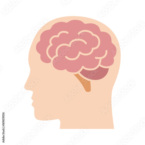 Brain or mind side view inside head flat vector color icon for medical apps and websites