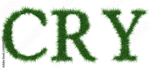 Cry - 3D rendering fresh Grass letters isolated on whhite background.