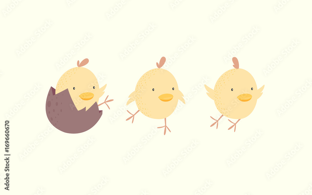 chicken and egg, Cute chick wallpaper. Yellow chicken background, flying bird, rooster chicken and egg, Cute chick wallpaper. Yellow chicken background, flying bird, rooster