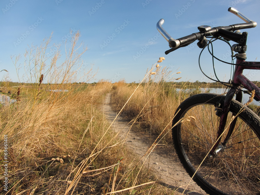 Naklejka premium cycling in sunny day in the lagoon of Venice