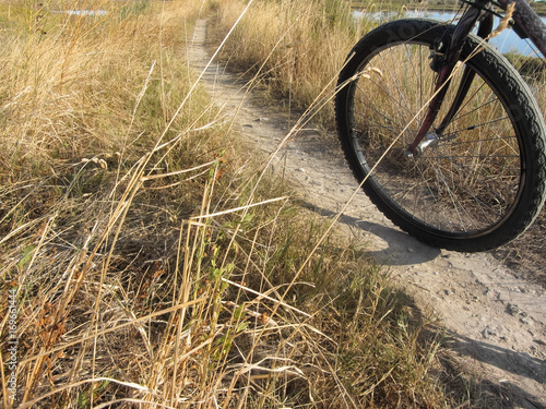 cycling in sunny day in the lagoon of Venice photo