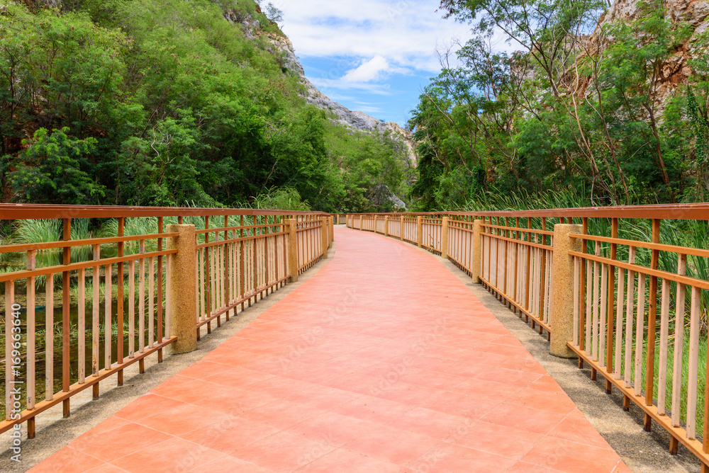 Fototapeta premium Walk way at Stone mountain park