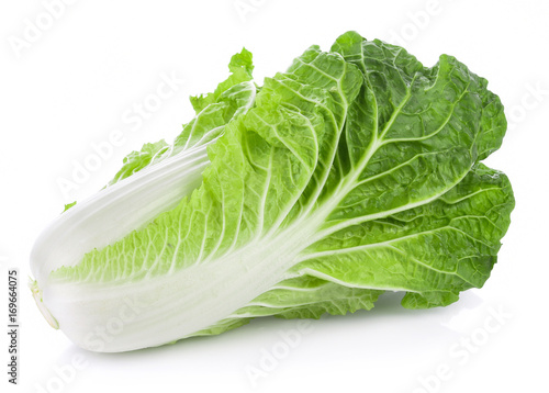 fresh chinese cabbage on a white background