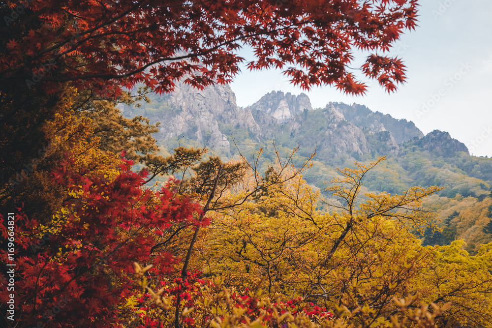Beautiful autumn mountain landscape, Seoraksan national park