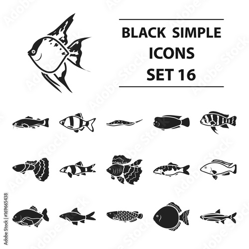 Aquarium fish set icons in black style. Big collection aquarium fish vector symbol stock illustration
