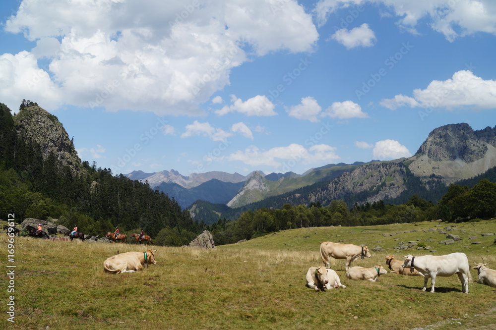 Pyrénées, montagne, gris, vert, religion, amour, beauté, vache, animaux