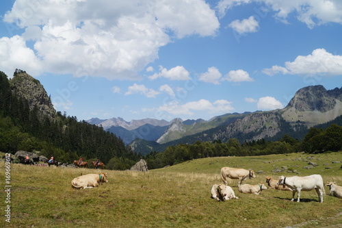 Pyrénées, montagne, gris, vert, religion, amour, beauté, vache, animaux