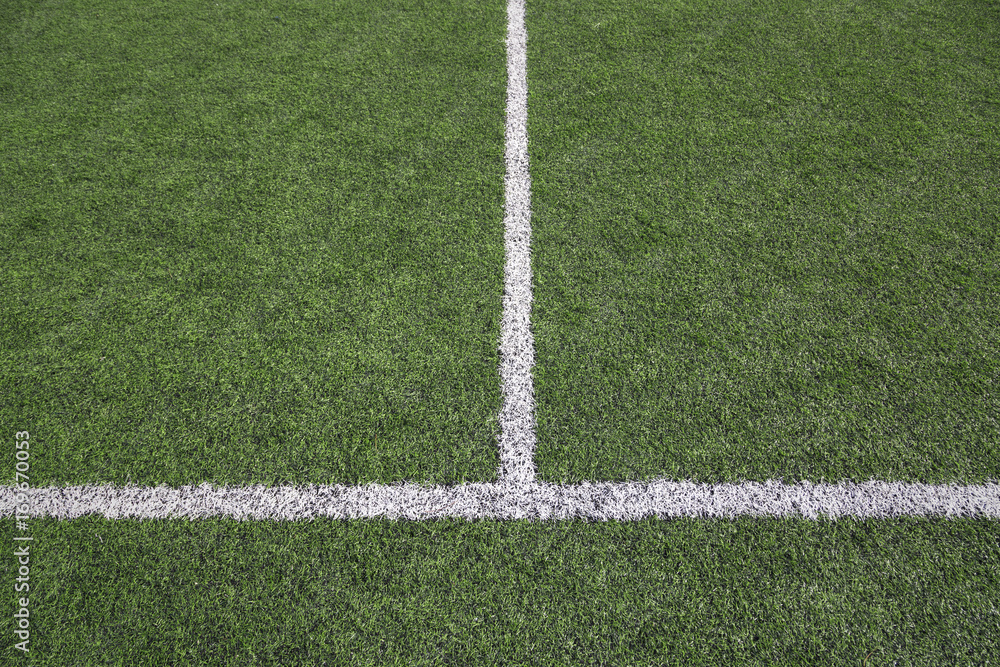 Green soccer grass field with white lines. Concept out of play background.