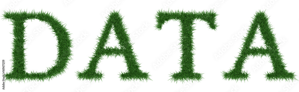 Data - 3D rendering fresh Grass letters isolated on whhite background. Data - 3D rendering fresh Grass letters isolated on whhite background.