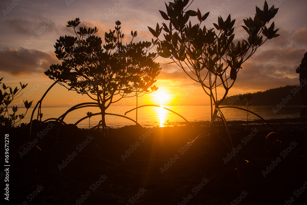 sunrise on beach and sea