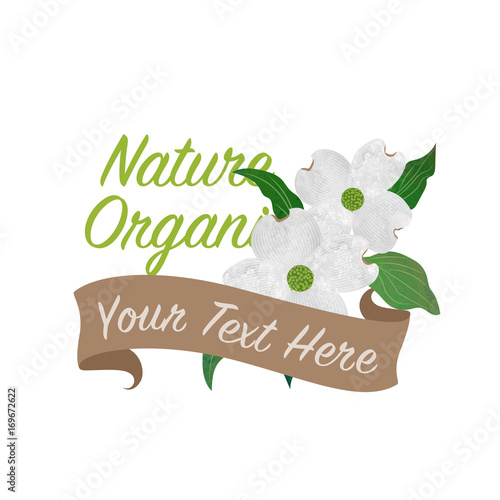 Colorful watercolor texture vector nature botanic garden flower banner white dogwood cornus florida