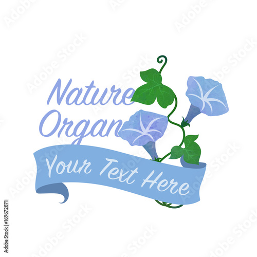 Colorful watercolor texture vector nature botanic garden flower banner light blue morning glory