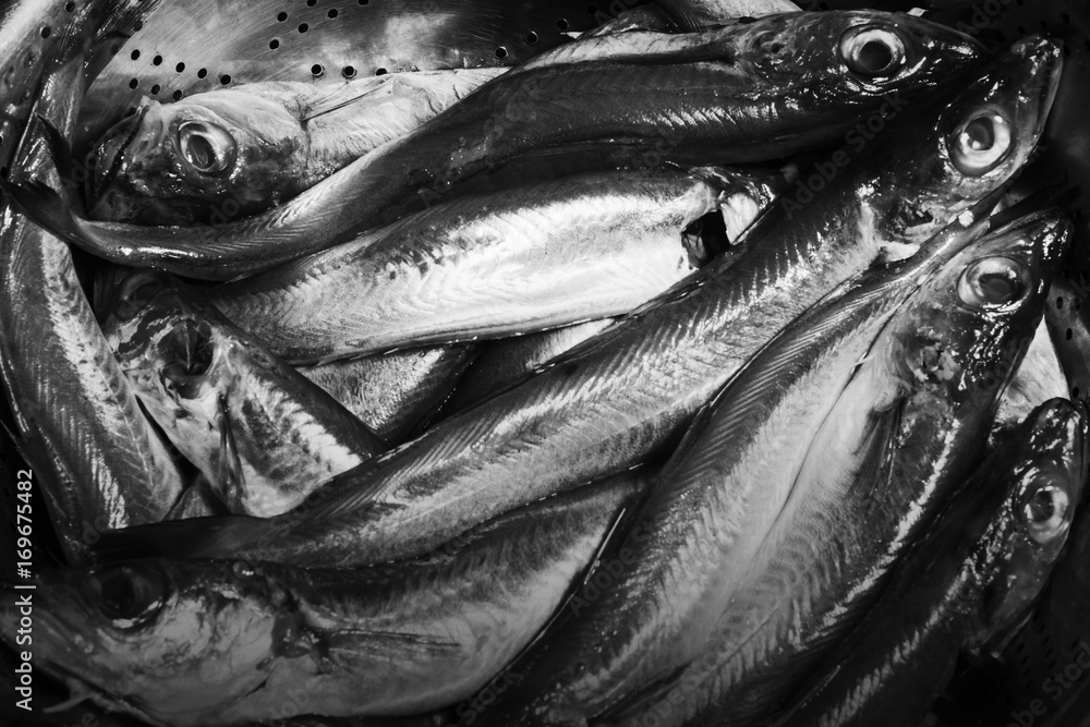 Fototapeta premium black and white fresh fish sea background not baked