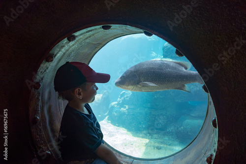 Südafrika, KwaZulu-Natal, Durban, Kleiner Junge beobachtet Tiere der Unterwasserwelt photo