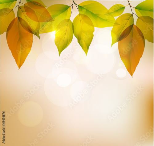 Background of yelow leaves, autumn season. Vector illustration.EPS10