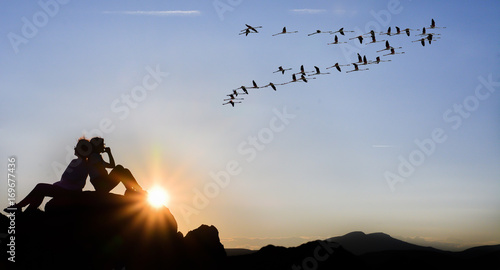 Wallpaper Mural Leyleklerin göçü Torontodigital.ca