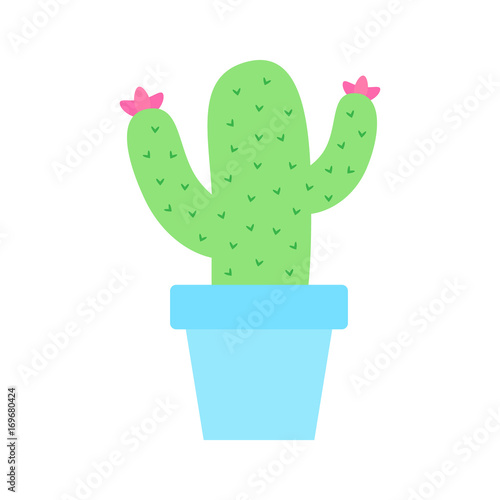 Cute cactus vector illustration drawing, green cacti in baby blue flowerpot. Cactus in plant pot graphic print or icon, isolated on white background.
