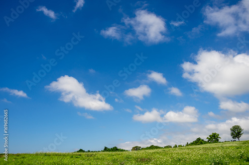 北海道 緑の草原と青空