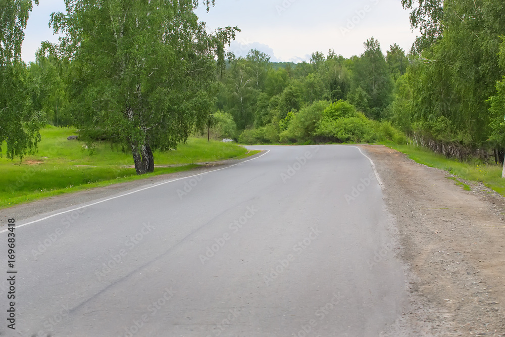 Fototapeta premium summer landscape with road