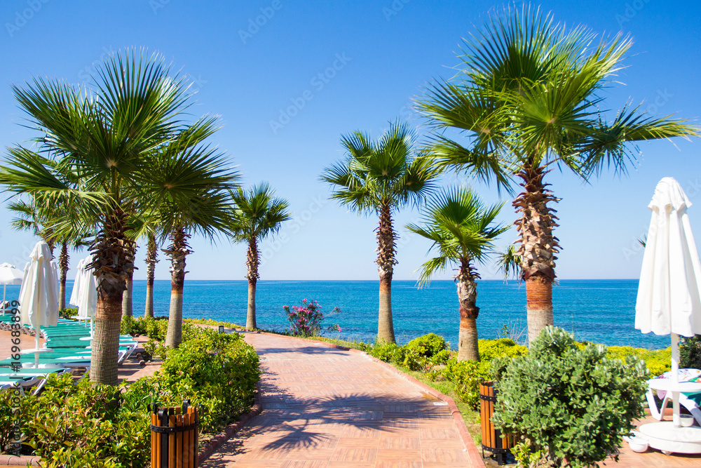 summer vacation concept - promenade, with palms on the beach