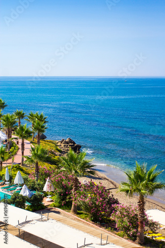 beautiful sandy beach with palms in Turkey © Di Studio