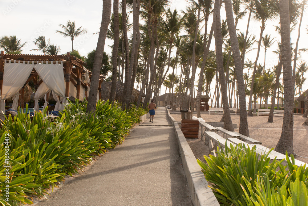 Palm trees in the city park near the beach