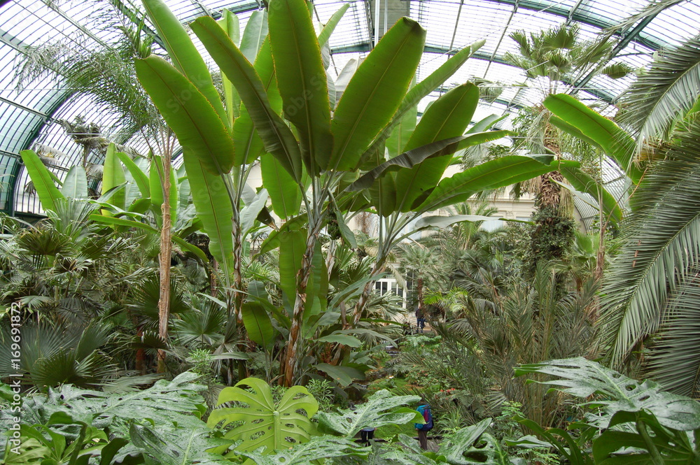 Obraz premium Palmengarten Frankfurt, Germany