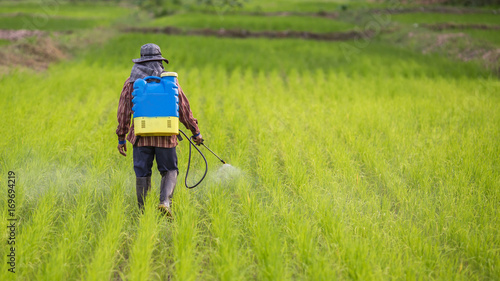 Εκτύπωση καμβά farmer spraying pesticide in the rice field.