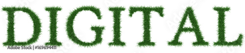 Digital - 3D rendering fresh Grass letters isolated on whhite background.