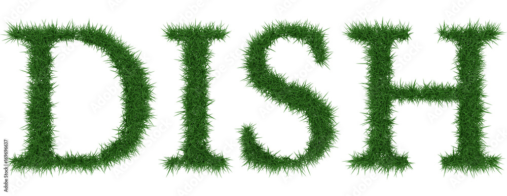 Dish - 3D rendering fresh Grass letters isolated on whhite background. Dish - 3D rendering fresh Grass letters isolated on whhite background.