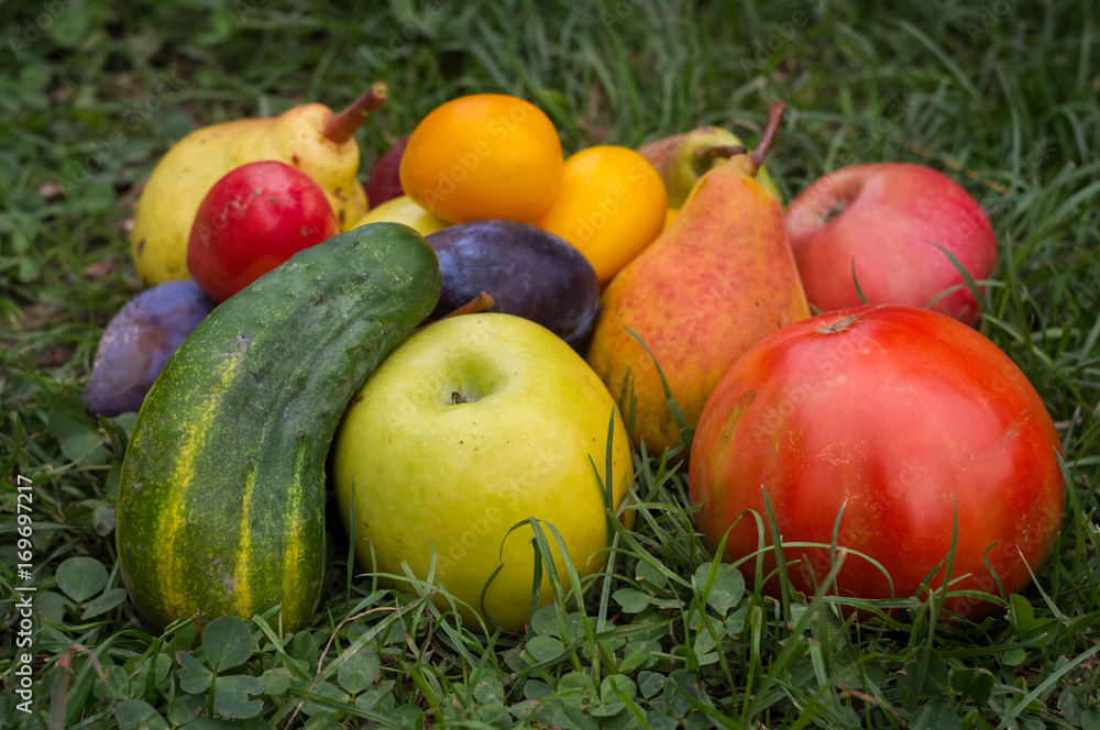 Vegetables and fruit on the grass in the garden. Healthy food, tomatoes, cucumbers, apples, pears, plums Vegetables and fruit on the grass in the garden. Healthy food, tomatoes, cucumbers, apples, pears, plums
