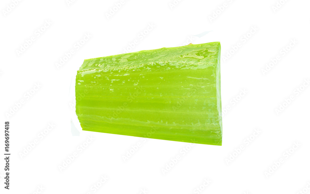 aloe vera isolate on white background aloe vera isolate on white background